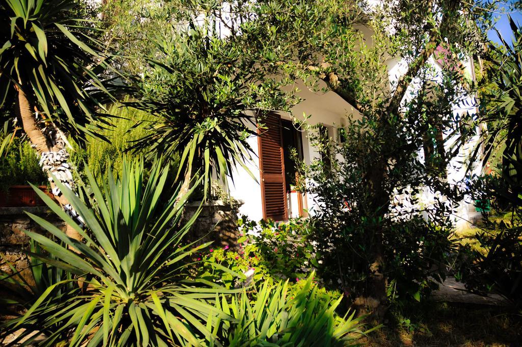 Apartments Adrialuka Dubrava  Exterior foto
